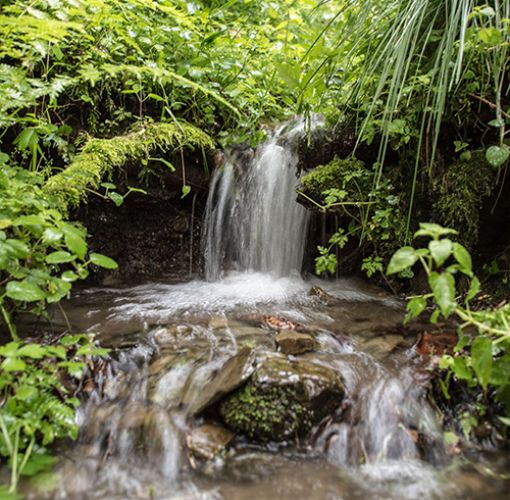 Wasserfall Quelle im Wald