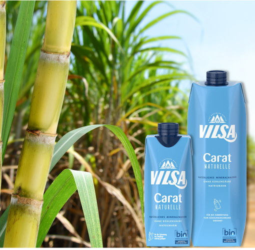 Zwei VILSA Tetra Paks, einmal in 0,5l und 1,0l, stehen im Vordergrund. Im Hintergrund sieht man einen sandigen Weg umringt von Bambuspflanzen. Der Himmel ist blau und sonnig.