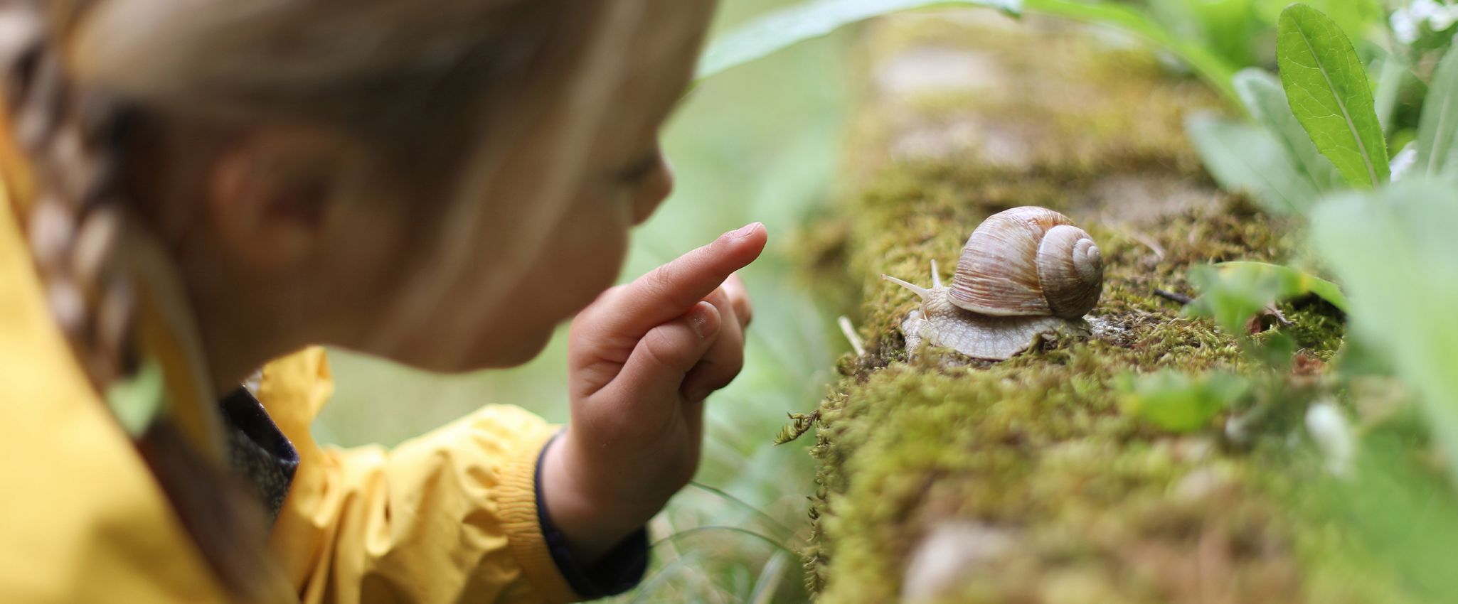 junges Mädchen guckt Schnecke an