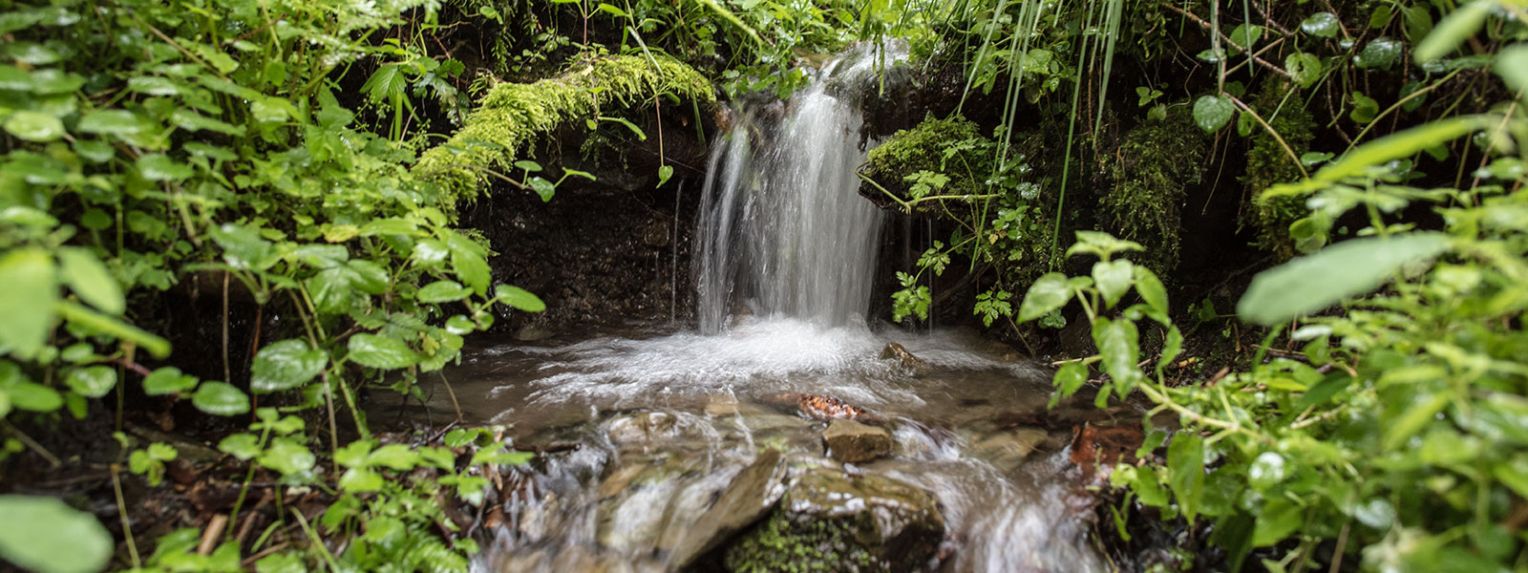 VILSA Quelle: eine sprudelnde Quelle im Wald